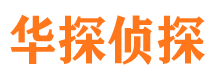 铁力调查公司